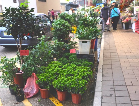 flower-market-green