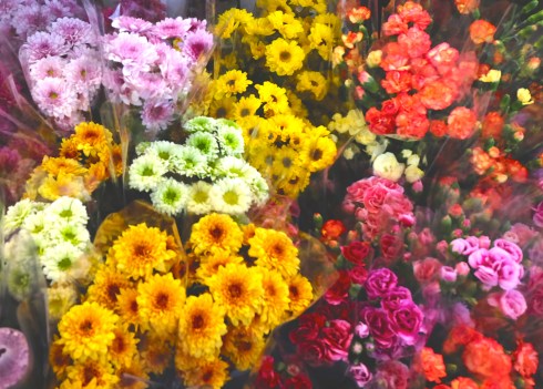 flower-market-blooms