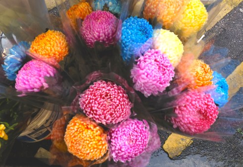 flower-market-pom-pom