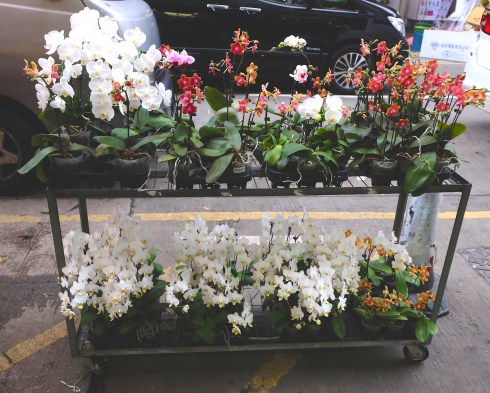 orchid-cart