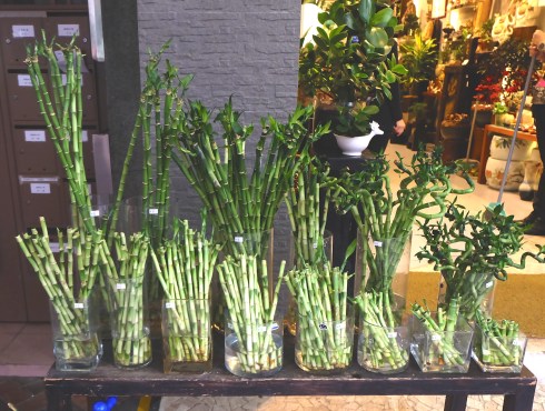 flower-market-cart