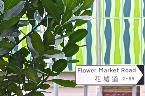 flower-market-hongkong