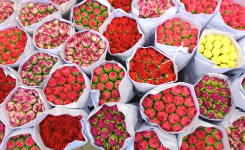 flower-market-roses