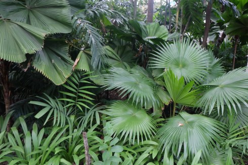 singapore-green-garden